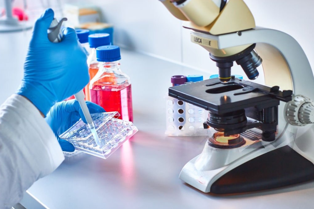Cancer medicine manufacturing in Bangladesh provides affordable solutions for global health needs.